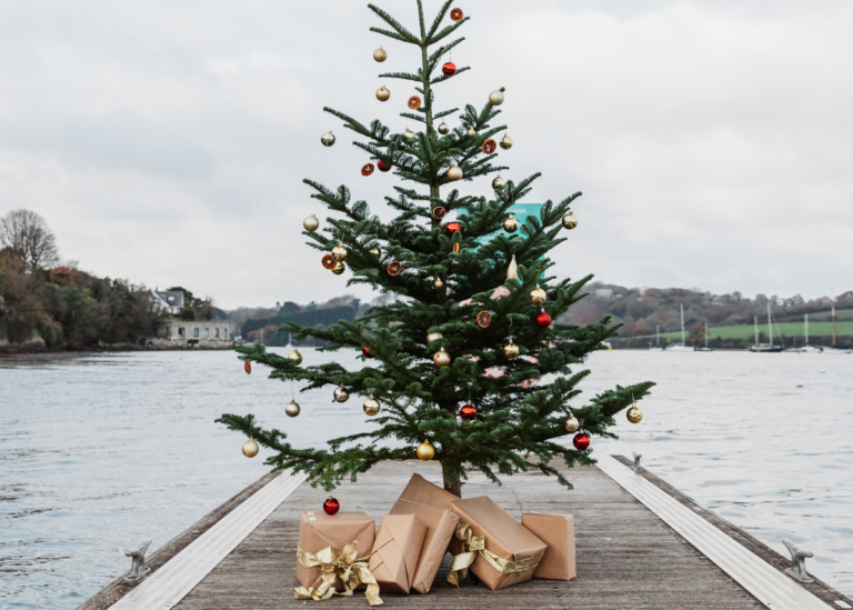 Christmas Breaks Cornwall Your Christmas at The Greenbank