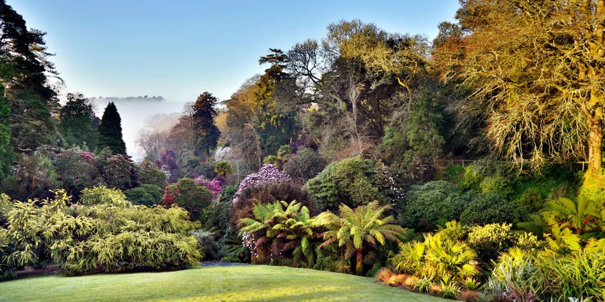 Trebah-gardens-falmouth-best-things-to-do-cornwall