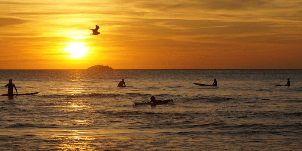 surfer-dad-photographs-blog-greenbank-hotel-sunset-surf