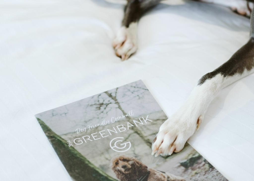 dog-friendly-hotels-in-cornwall-greenbank