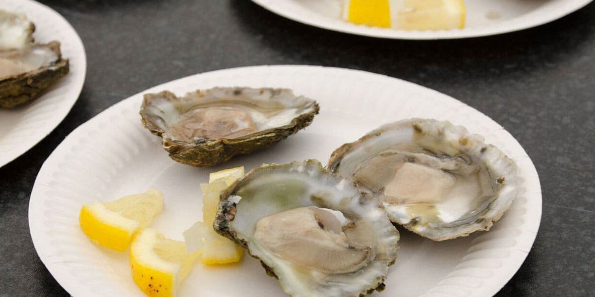 falmouth-oyster-festival-whats-on-in-cornwall-october-2019-the-greenbank-hotel-falmouth