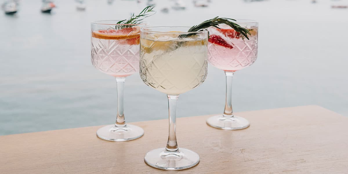infused-gin-and-tonics-the-greenbank-hotel-falmouth-cornwall