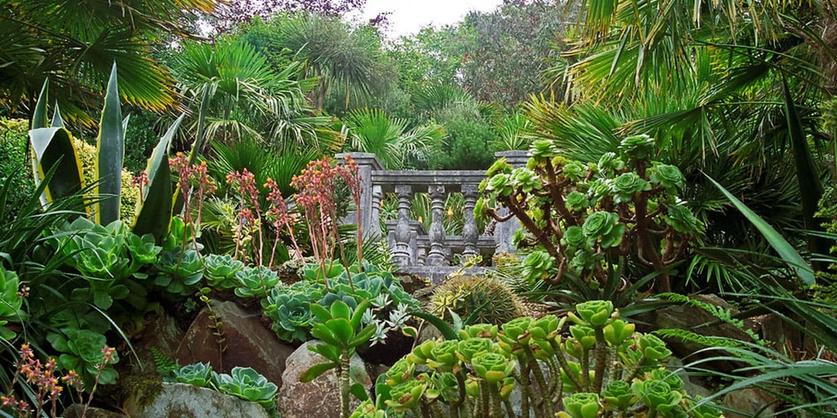lamorran-gardens-24-hours-in-st-mawes