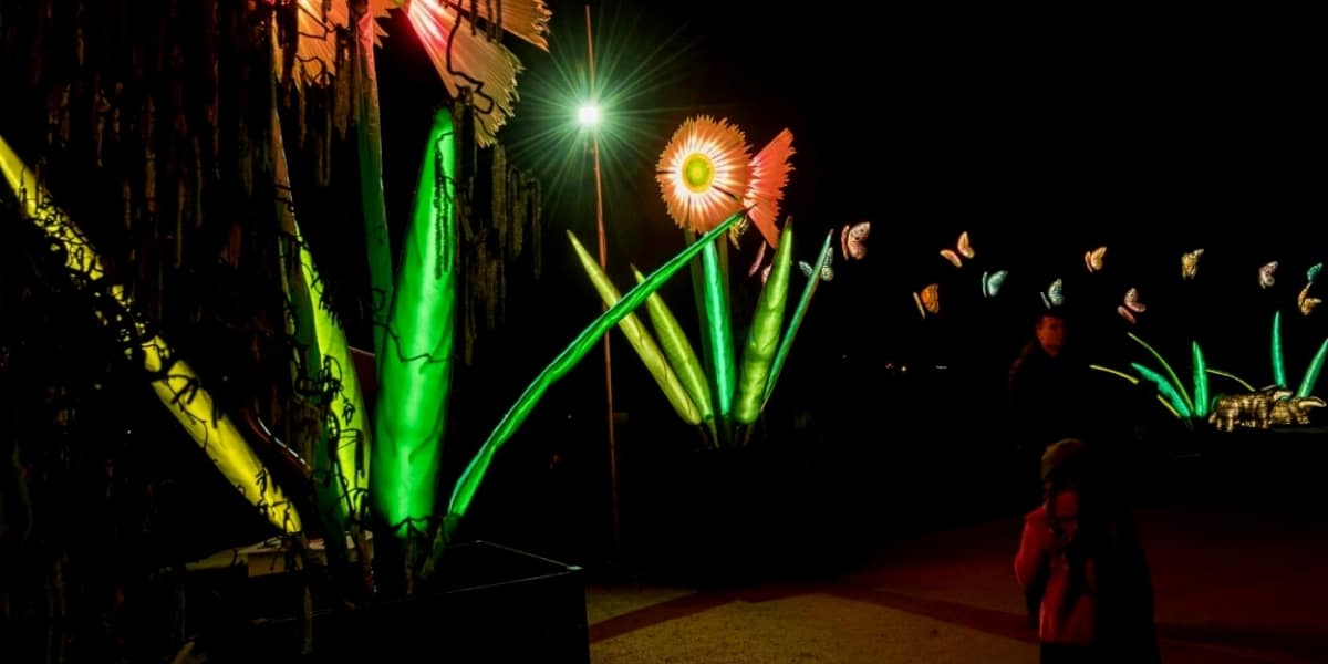 the-greenbank-hotel-falmouth-cornwall-the-lost-gardens-of-heligan-light-show-whats-on-january