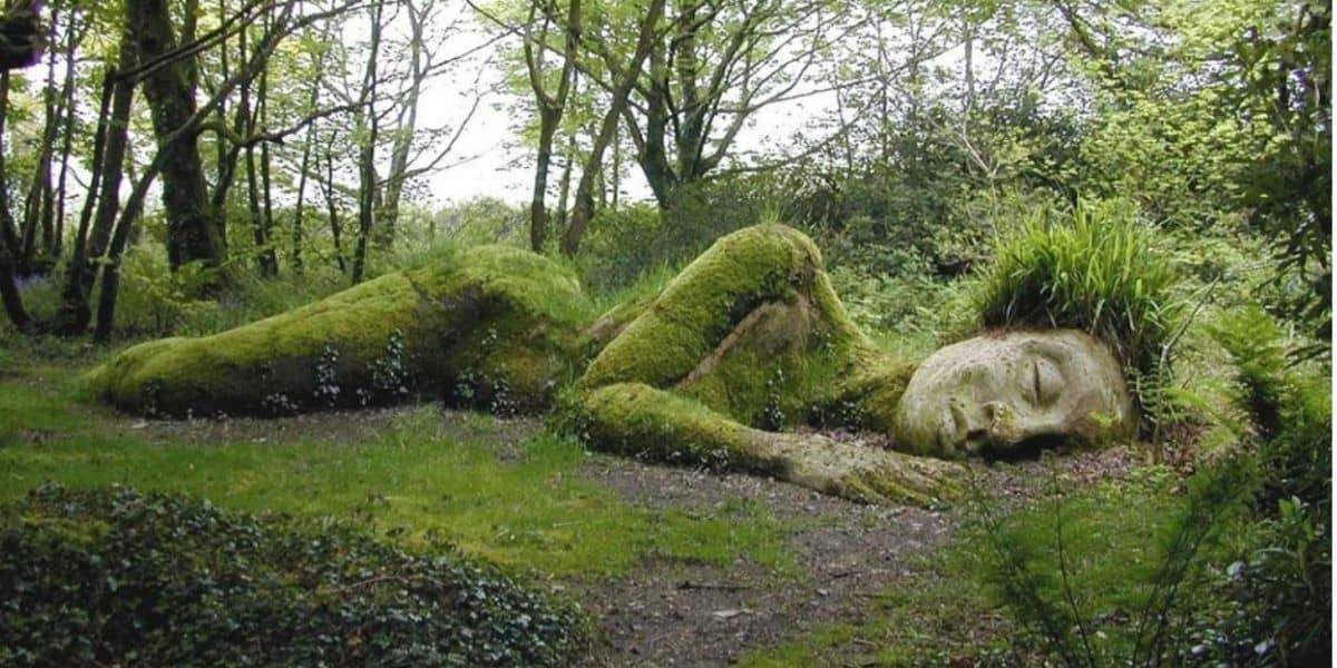 the-lost-gardens-of-heligan-the-greenbank-whats-on-in-june-2019-cornwall-falmouth