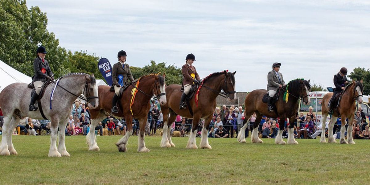 tregony-heavy-horse-show-and-country-fayre-cornwall-whats-on-in-august